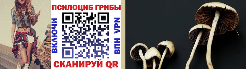 Галлюциногенные грибы GOLDEN TEACHER  Феодосия 