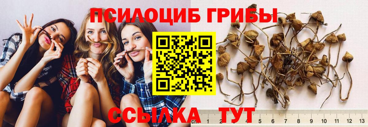 Галлюциногенные грибы Magic Shrooms  Вход с VPN  Феодосия 