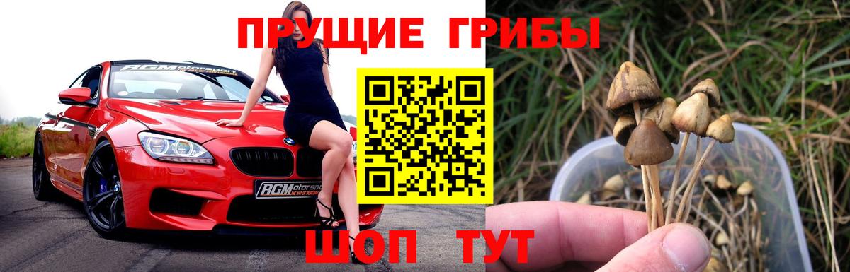 Галлюциногенные грибы MAGIC MUSHROOMS Феодосия